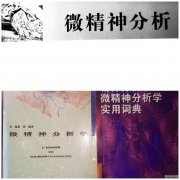 <b>微精神分析学理论与技术介绍</b>