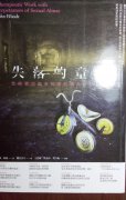 《失落的童年》